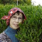 Tea series #1 – La coltivazione di tè biologico della famiglia Morimoto